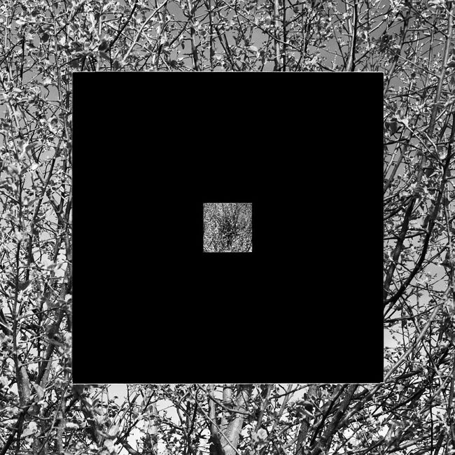 Gallery.Photographer.ru. Breaking the Square. Nest of magpie. From the series "Breaking the Square". © Nikolai Kulebyakin