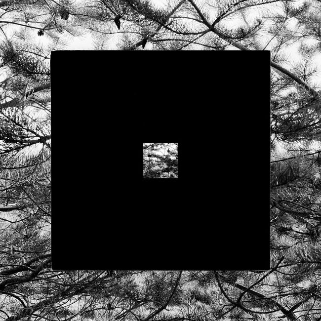 Gallery.Photographer.ru. Breaking the Square. Two pines. From the series "Breaking the Square", 2018. © Nikolai Kulebyakin