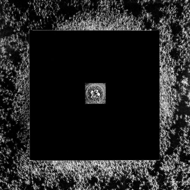 Gallery.Photographer.ru. Breaking the Square. Apples. From series "Breaking the Square", 2018. © Nikolai Kulebyakin